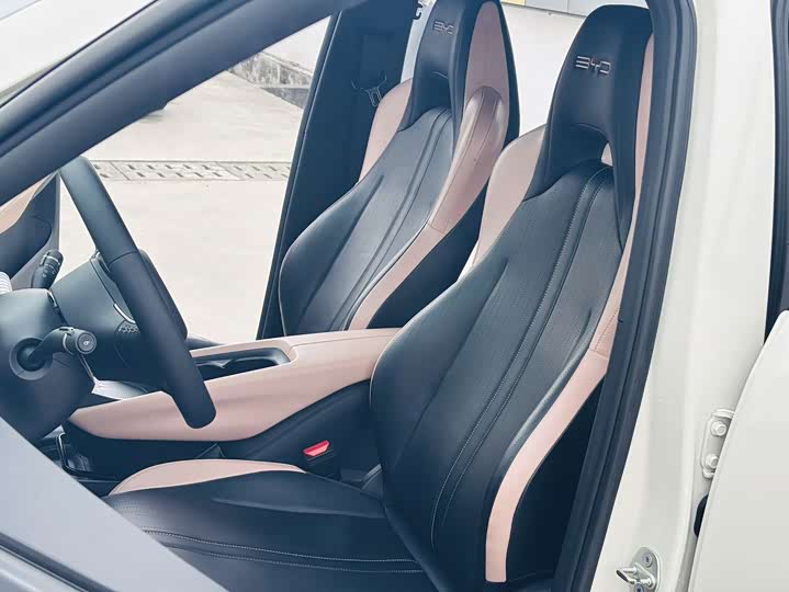 Фото 4 - BYD Seagull