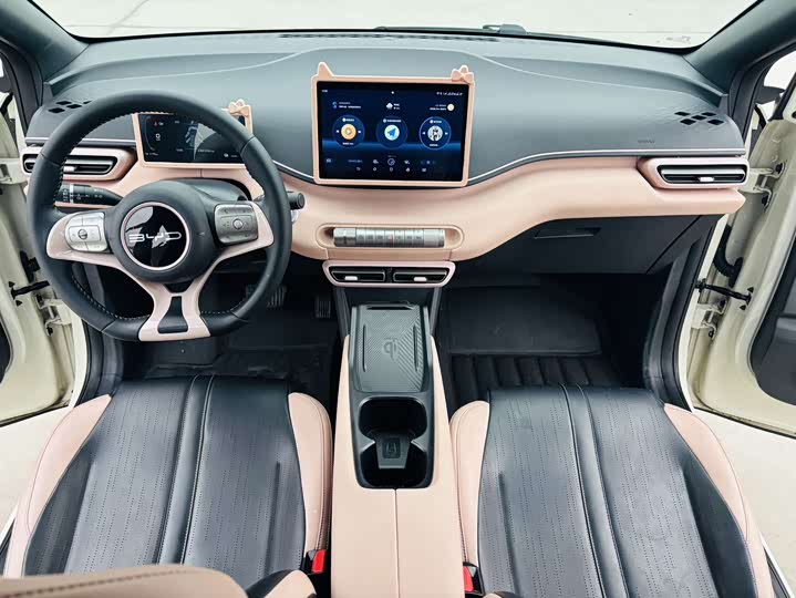 Фото 6 - BYD Seagull