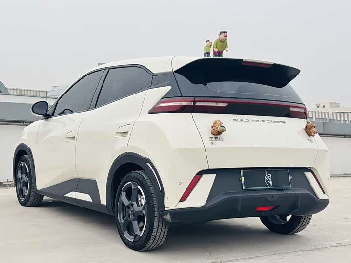 Фото 8 - BYD Seagull