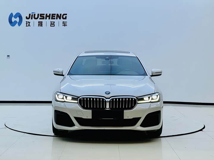Фото 2 - BMW 5 Series Hybrid