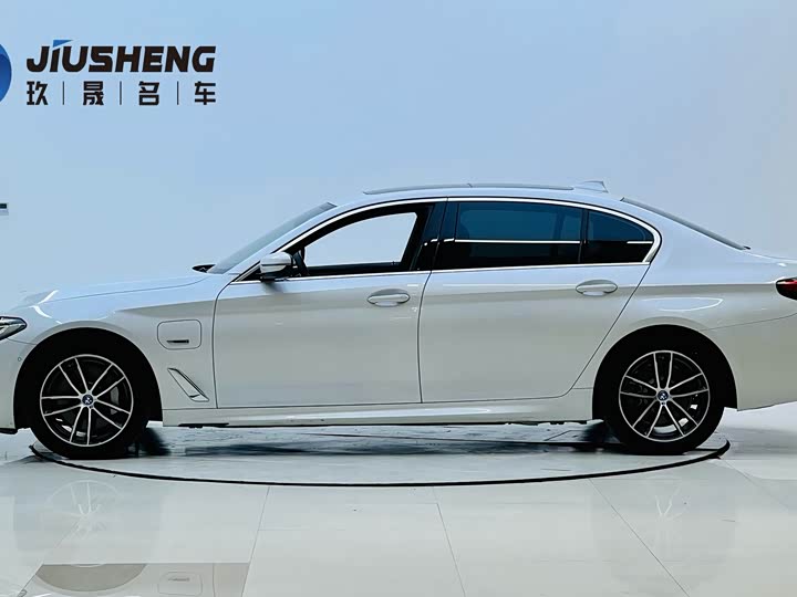 Фото 3 - BMW 5 Series Hybrid