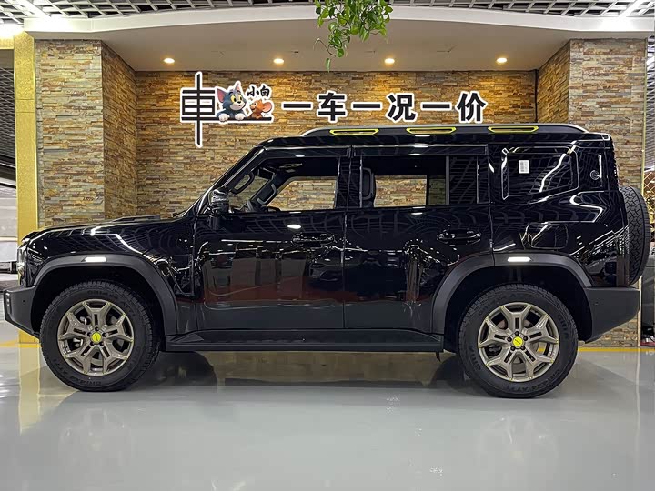 Фото 3 - Jetour T2