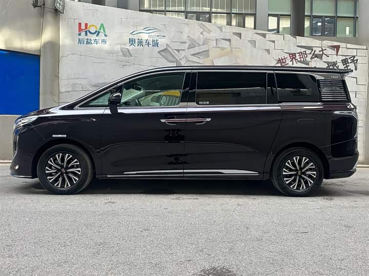 Фото 3 - Hongqi HQ9