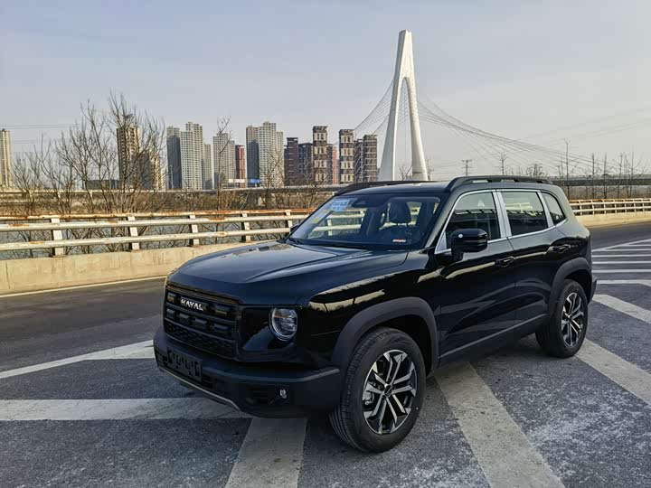 Фото 1 - Haval Dargo