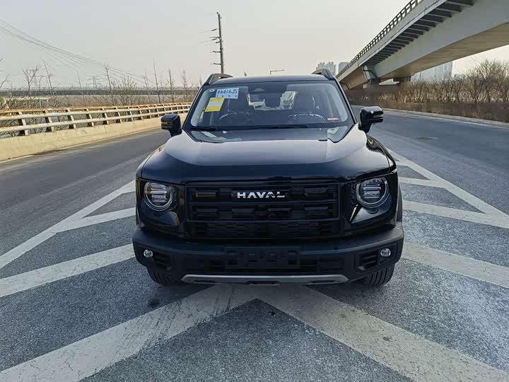Фото 2 - Haval Dargo