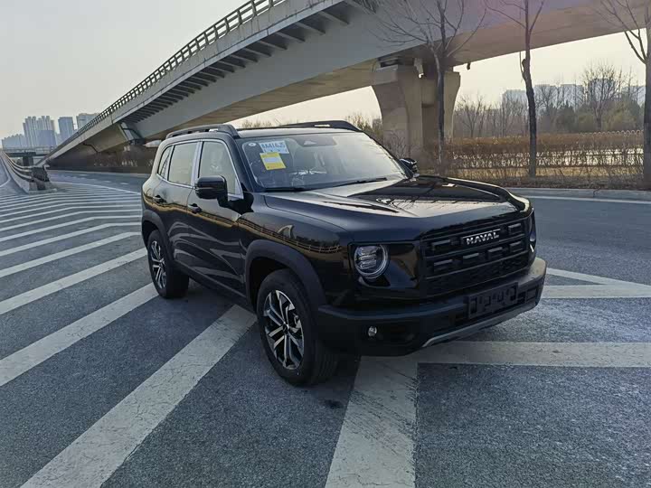 Фото 3 - Haval Dargo