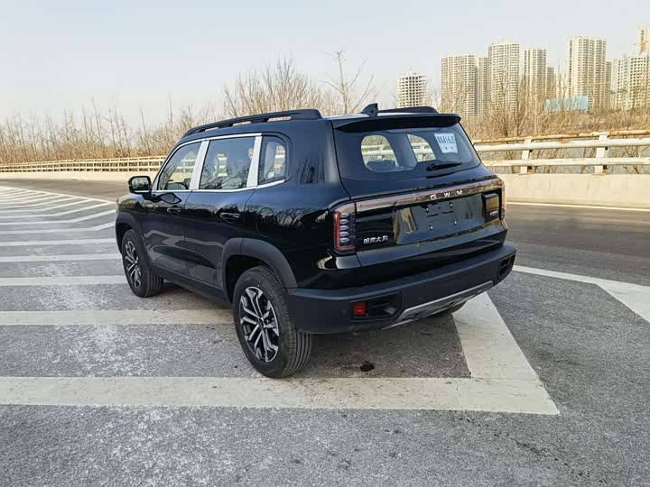 Фото 4 - Haval Dargo