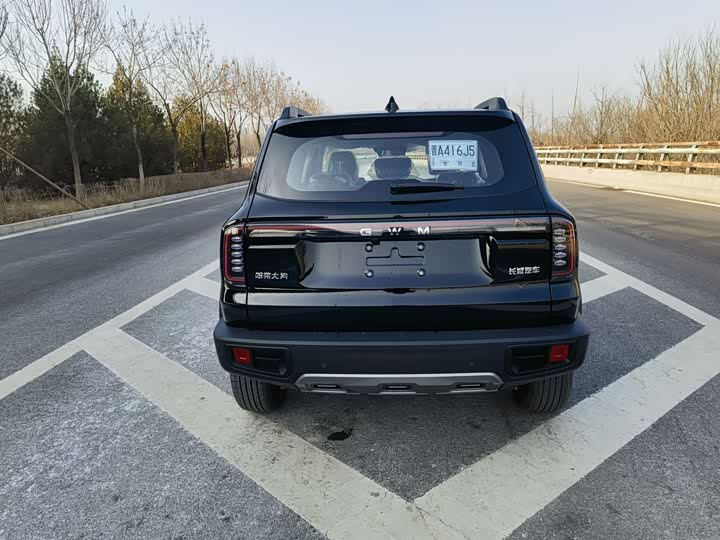 Фото 5 - Haval Dargo