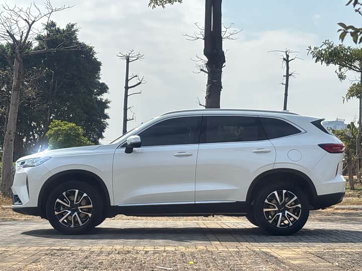 Фото 4 - Haval H6