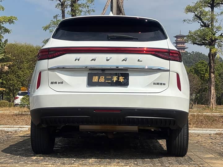 Фото 7 - Haval H6