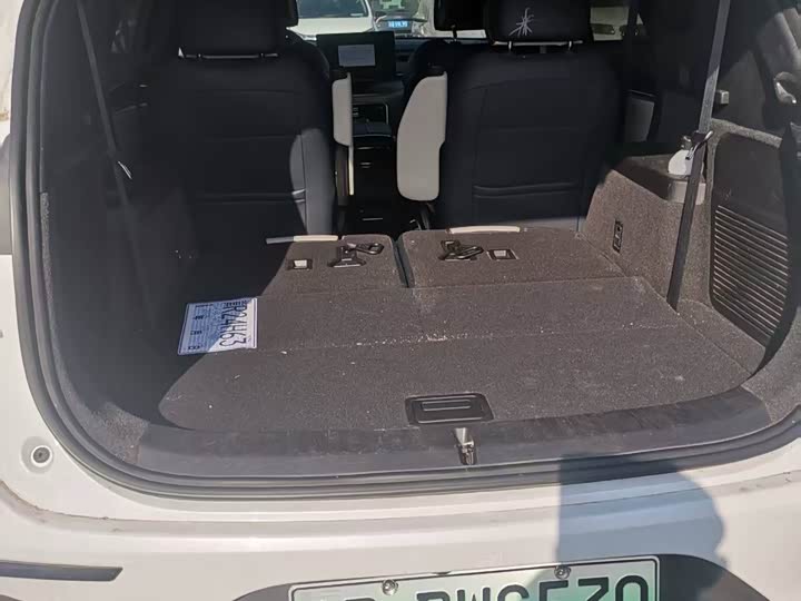 Фото 9 - BYD Tang Hybrid/EV