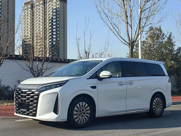 Фото 1 - BYD Xia