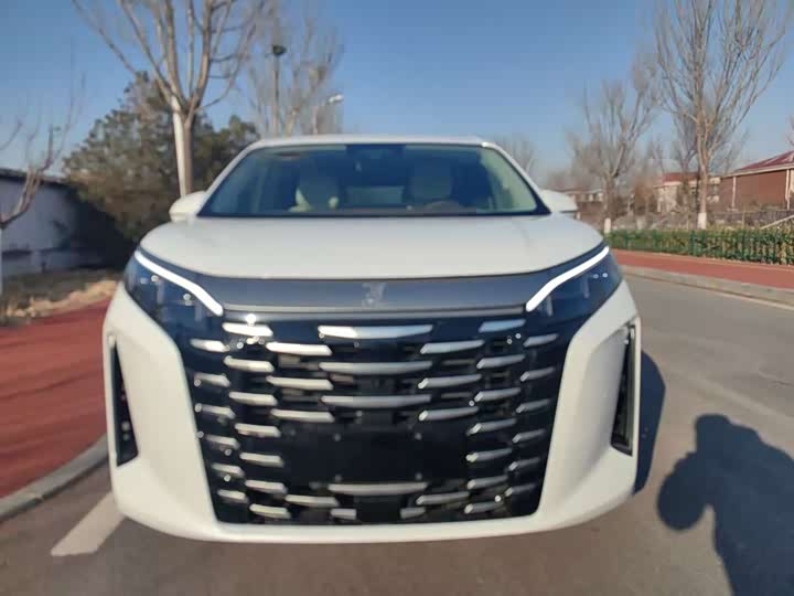 Фото 2 - BYD Xia