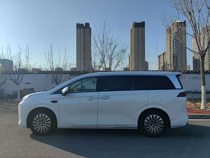 Фото 5 - BYD Xia