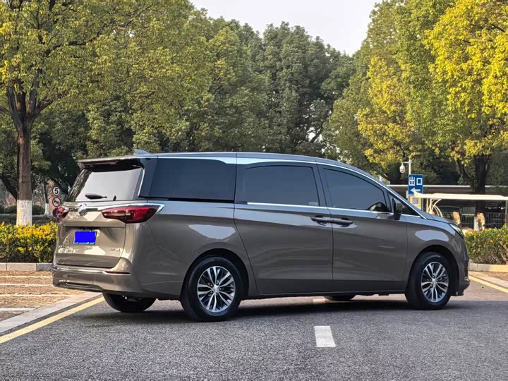 Фото 6 - Buick GL8 ES