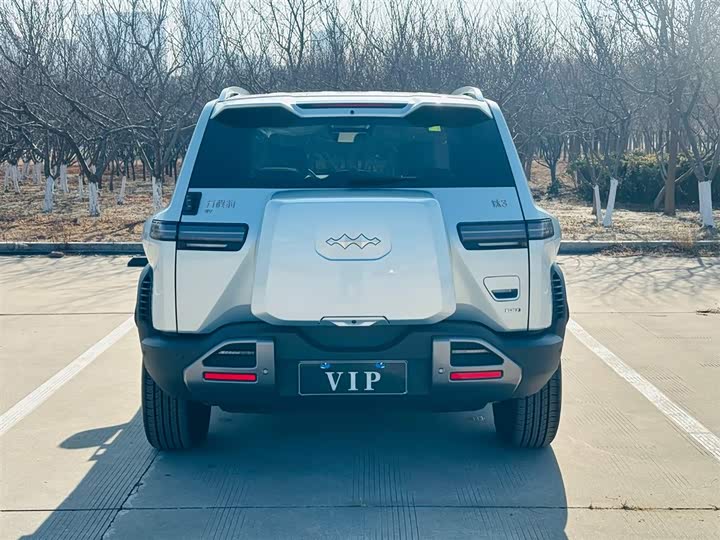 Фото 4 - BYD FangChengBao Titanium 3 (Tai 3)