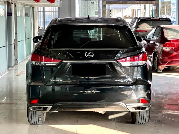 Фото 5 - Lexus RX