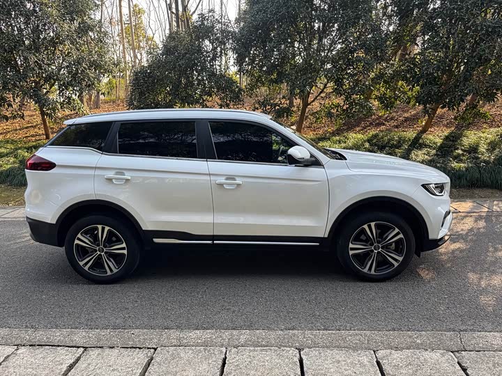 Фото 9 - Geely Atlas