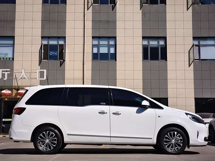 Фото 4 - Buick GL8 ES