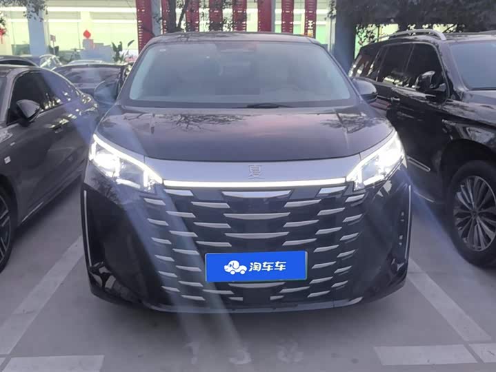 Фото 2 - BYD Xia