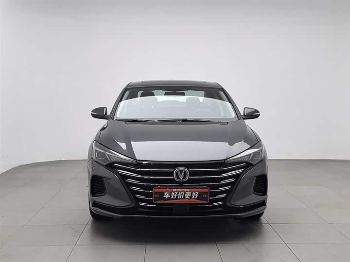 Фото 3 - Changan Eado Plus