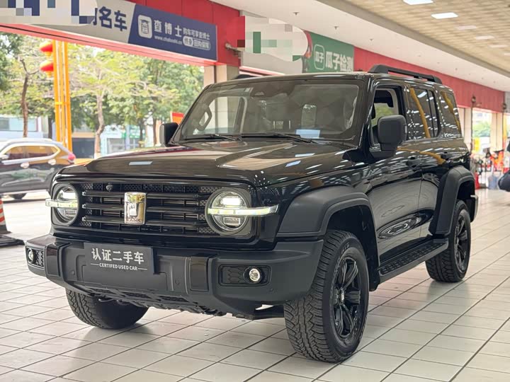 Фото 1 - Tank 300