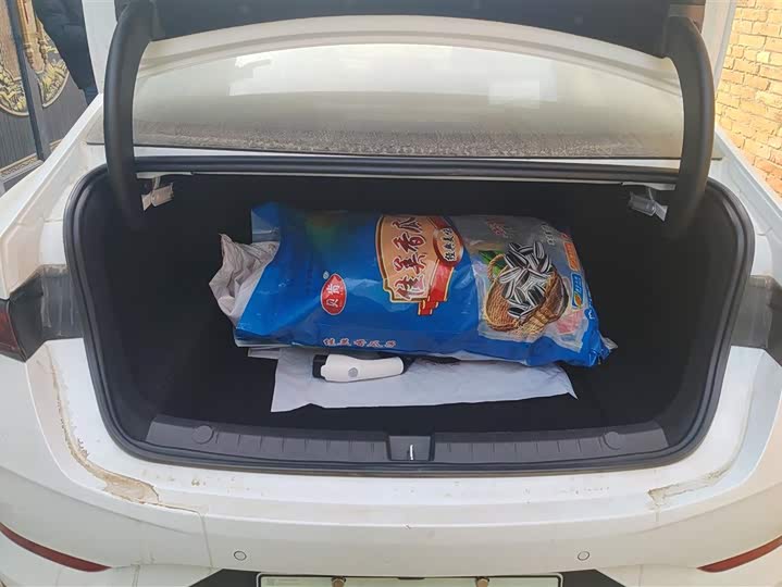 Фото 4 - BYD Qin Plus