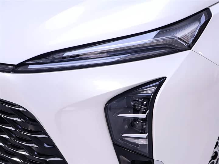 Фото 4 - Buick GL8 Hybrid