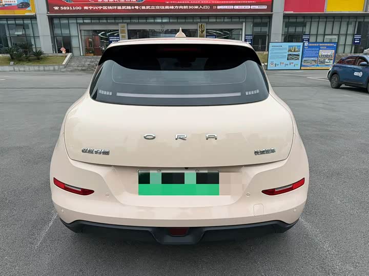 Фото 4 - Ora Good Cat (03)