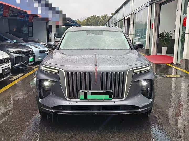 Photo 1 - Hongqi E-HS9