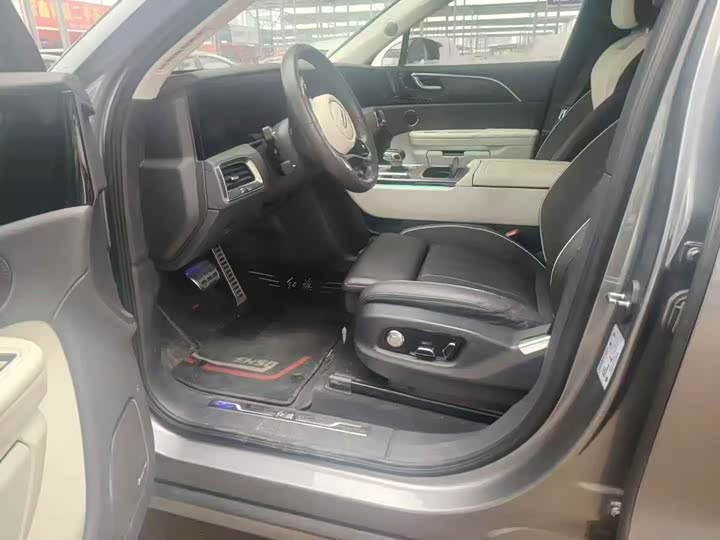 Photo 4 - Hongqi E-HS9