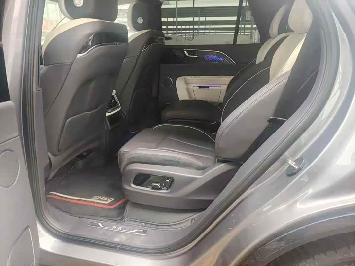 Photo 6 - Hongqi E-HS9