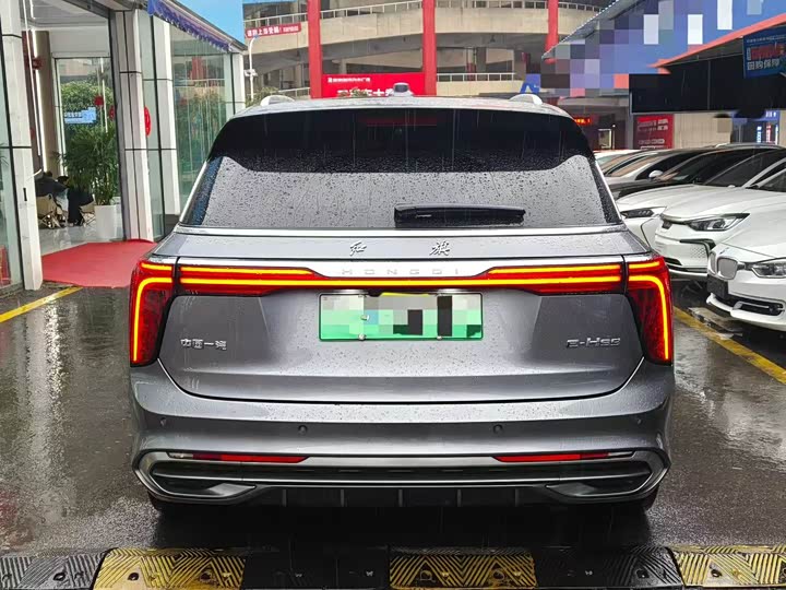 Photo 8 - Hongqi E-HS9