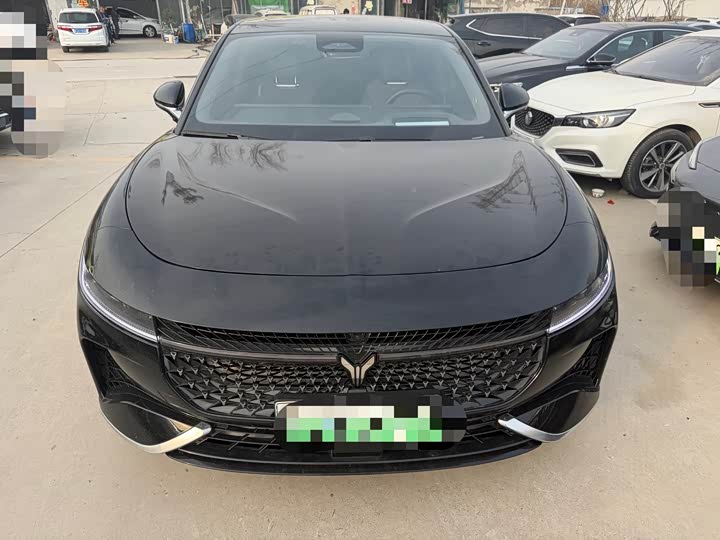 Фото 2 - Voyah Passion