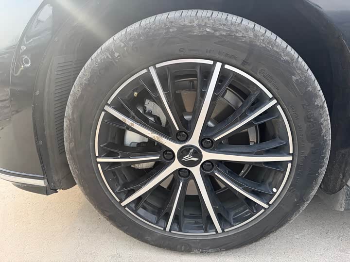 Фото 4 - Voyah Passion