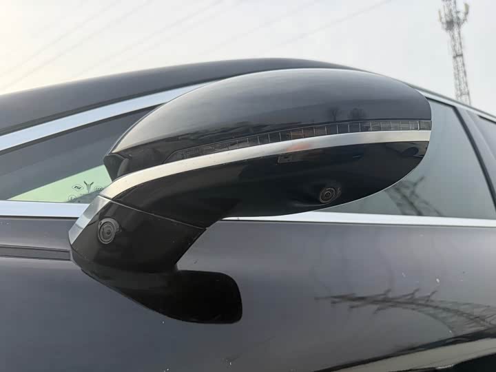 Фото 5 - Voyah Passion