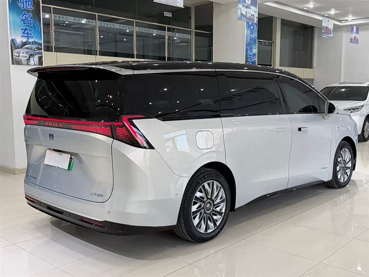 Фото 5 - Buick OMPV