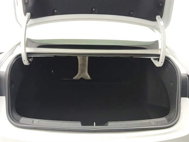 Photo 4 - Geely Preface