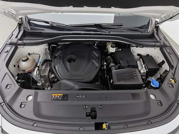 Фото 6 - Geely Okavango L