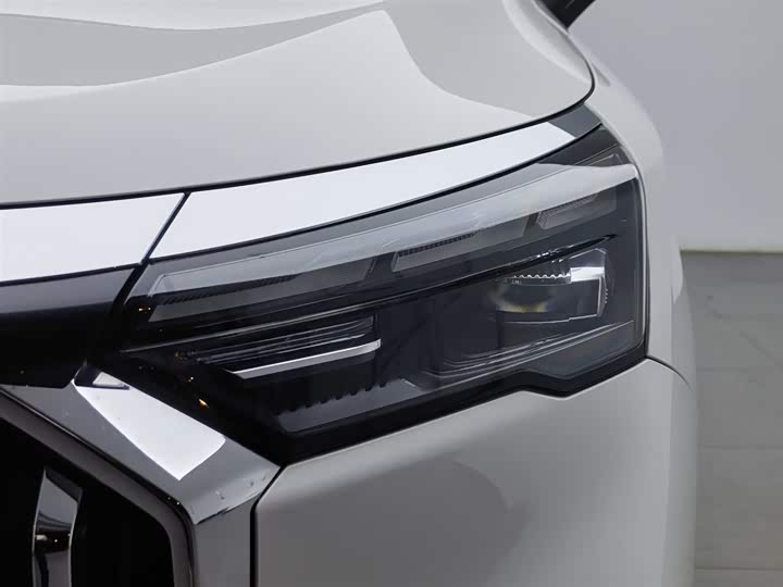 Фото 7 - Geely Okavango L