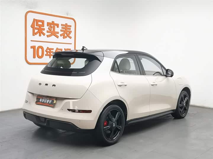 Фото 2 - Ora Good Cat (03)