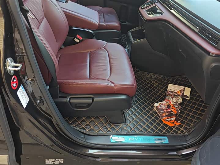 Фото 8 - Honda Elysion