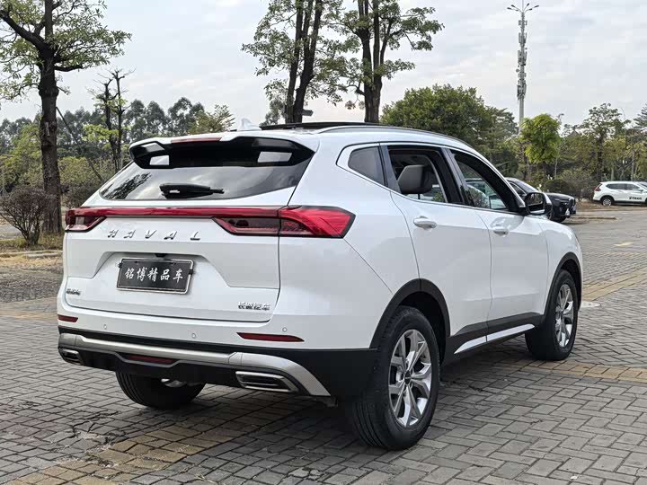 Фото 6 - Haval H6