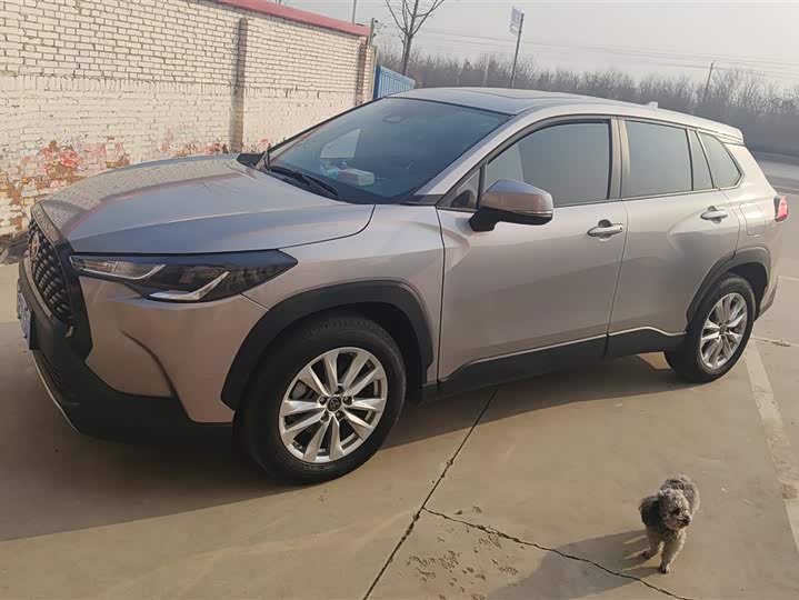 Фото 1 - Toyota Corolla Cross