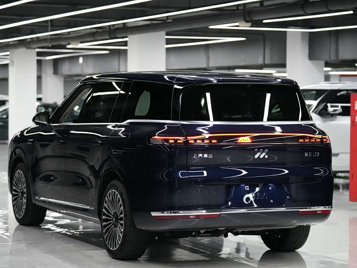 Фото 4 - IM motors LS9