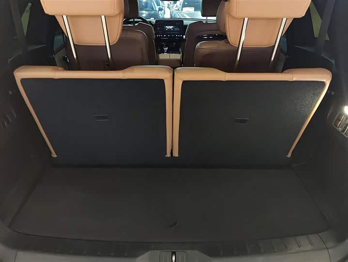 Фото 4 - GAC Trumpchi ES9