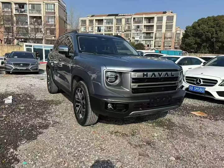 Фото 3 - Haval Dargo