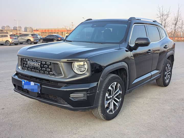 Фото 1 - Haval H-Dog