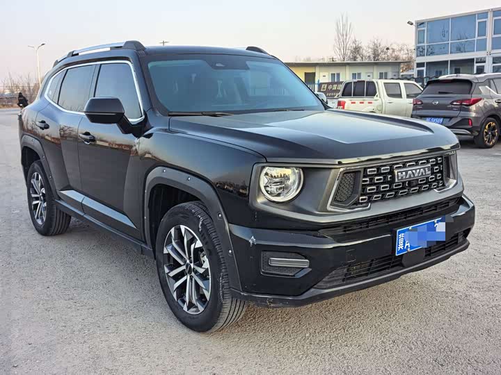 Фото 3 - Haval H-Dog