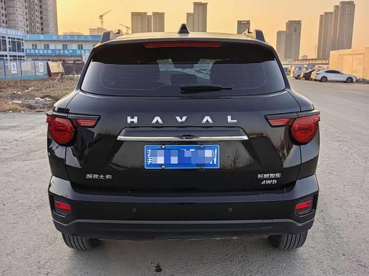 Фото 4 - Haval H-Dog
